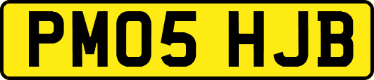 PM05HJB
