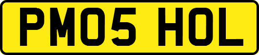 PM05HOL