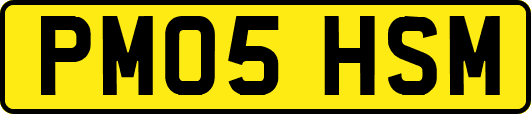 PM05HSM