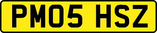 PM05HSZ