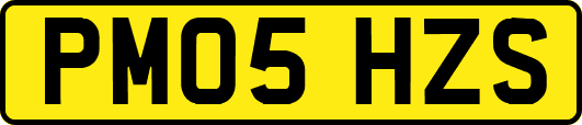 PM05HZS