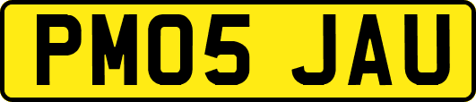 PM05JAU