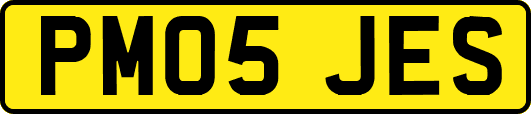 PM05JES