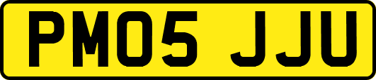PM05JJU