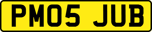 PM05JUB