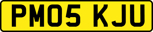 PM05KJU