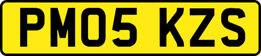 PM05KZS