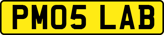 PM05LAB