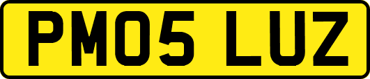 PM05LUZ