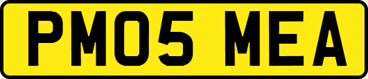 PM05MEA