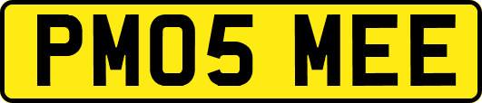 PM05MEE