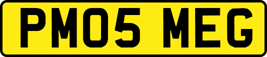 PM05MEG