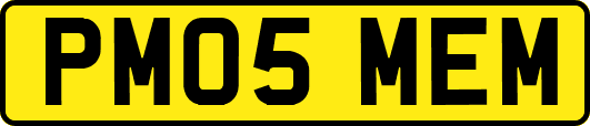 PM05MEM