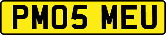 PM05MEU
