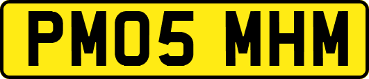 PM05MHM