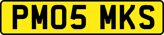 PM05MKS
