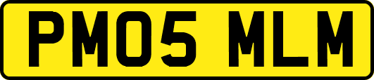 PM05MLM