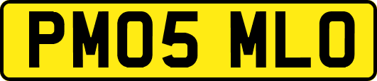 PM05MLO