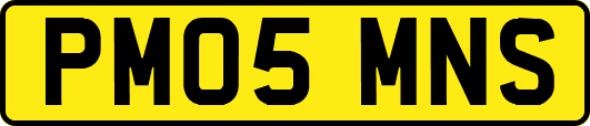 PM05MNS