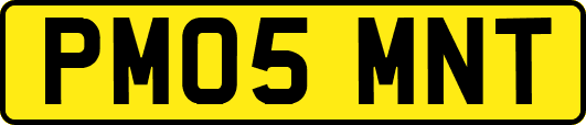 PM05MNT