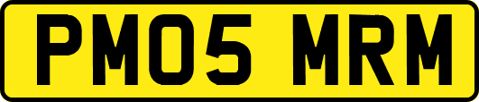 PM05MRM