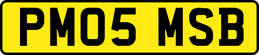 PM05MSB
