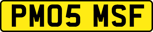 PM05MSF
