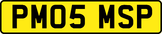 PM05MSP