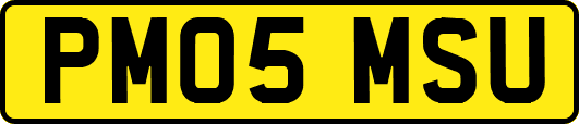 PM05MSU