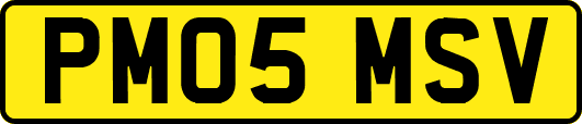 PM05MSV