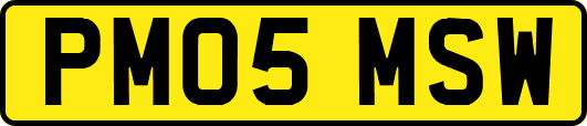 PM05MSW