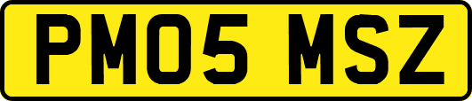 PM05MSZ