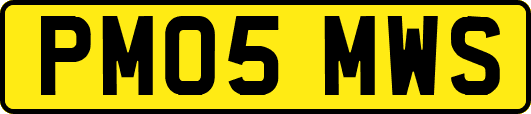 PM05MWS