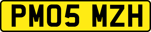 PM05MZH