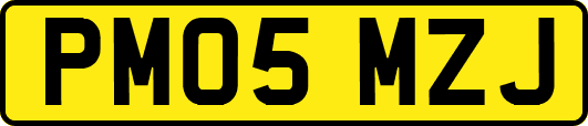 PM05MZJ