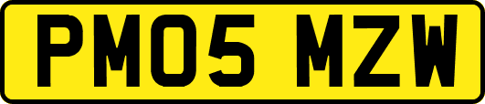PM05MZW