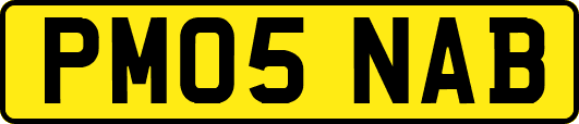 PM05NAB
