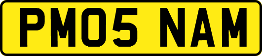 PM05NAM