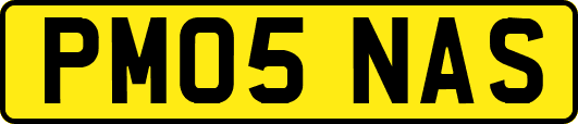 PM05NAS