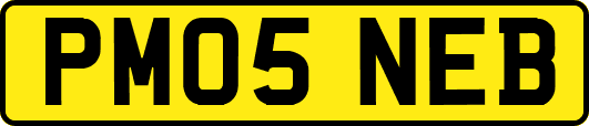 PM05NEB
