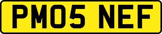 PM05NEF