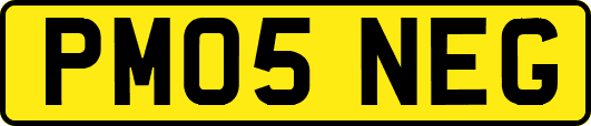 PM05NEG