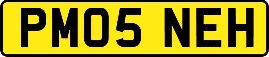 PM05NEH