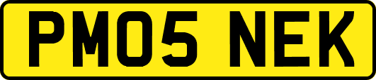 PM05NEK