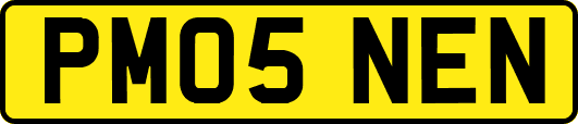 PM05NEN