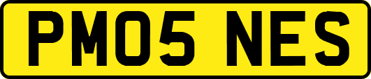 PM05NES