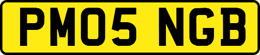 PM05NGB