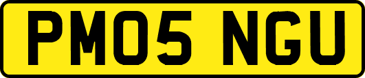 PM05NGU