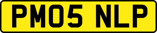 PM05NLP