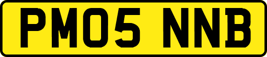 PM05NNB